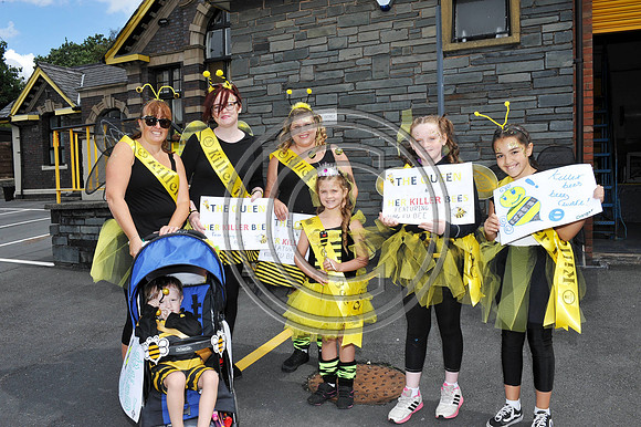1. Machynlleth Carnival 2018
