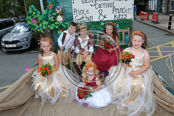 8. Machynlleth Carnival 2018