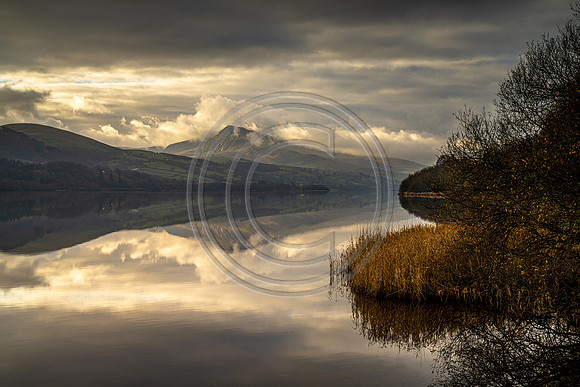Llun Tegid Bala