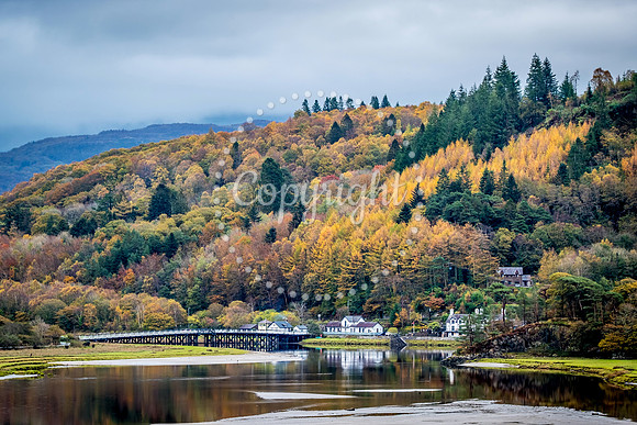 Autumn Penmaenpool Bridge