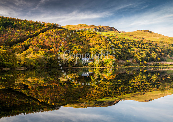 2 Tal y Llyn