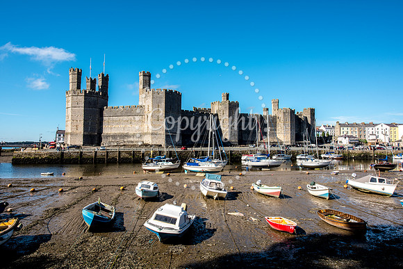 Caernarfon Castle