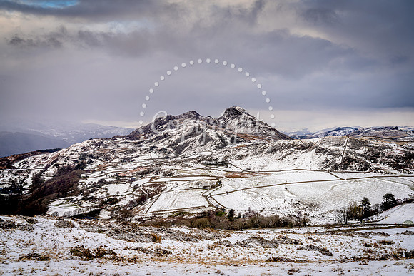 Pared y Cefn hir Cregennan